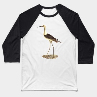 Stork Baseball T-Shirt